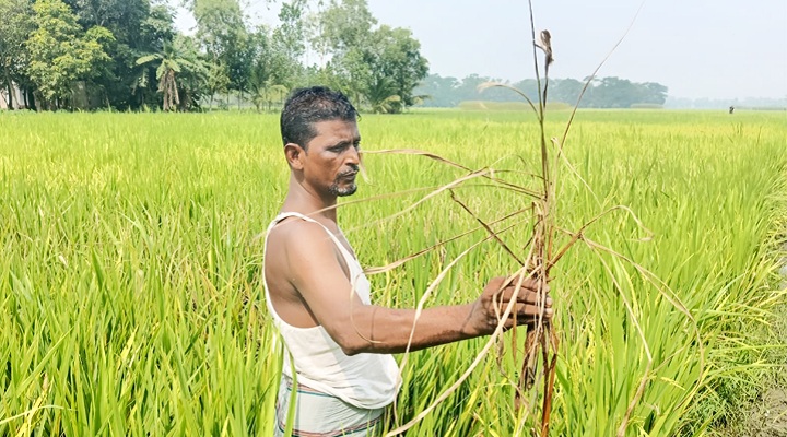 ছবি: প্রতিনিধি