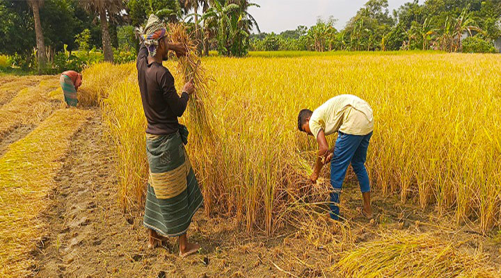 ছবি: প্রতিনিধি