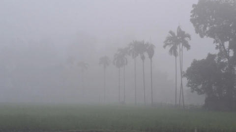 পঞ্চগড়ের তাপমাত্রা নামল ১৫.৬ ডিগ্রিতে