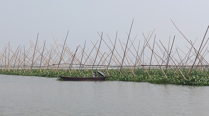 ছবি: প্রতিনিধি, অবৈধভাবে মাছ শিকারের ফাঁদ