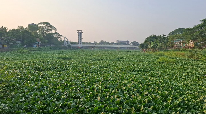 ছবি: খোলা কাগজ