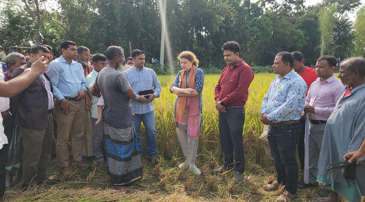 ছবি: ফসলের ক্ষেত পরিদর্শনে সারা গিলাস্কি - খোলা কাগজ