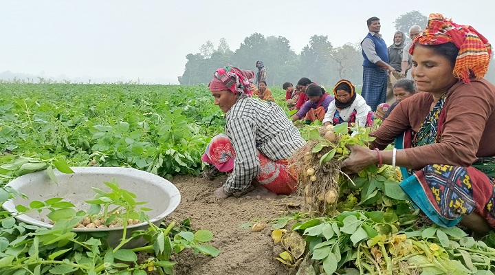 ছবি: প্রতিনিধি