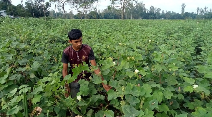 ছবি: প্রতিনিধি