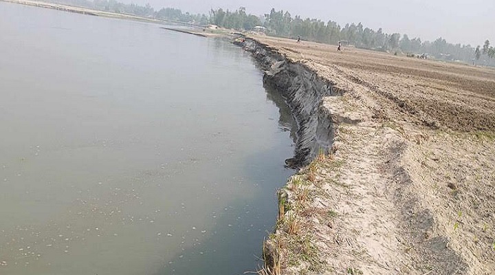 অসময়ে নদী ভাঙন, বিলীন হচ্ছে তিস্তা পারের ফসলি জমি