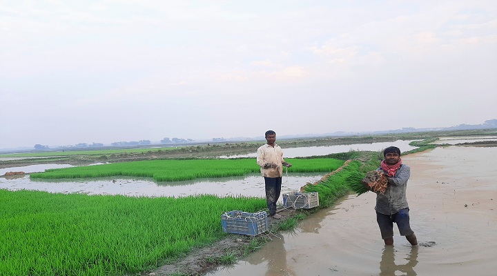 ছবি: প্রতিনিধি 