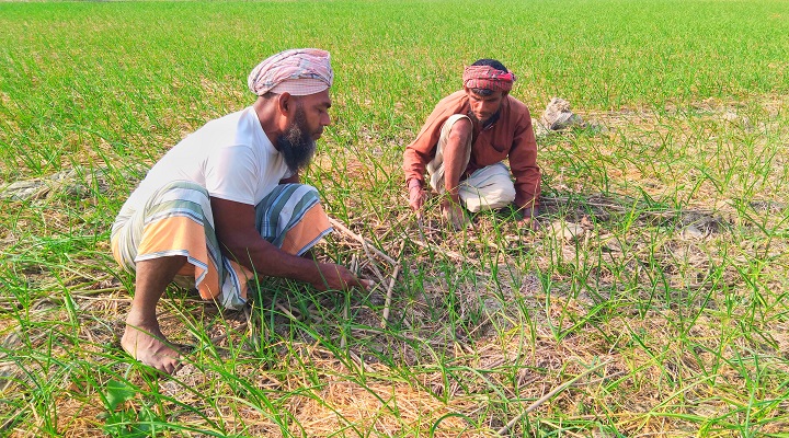 ছবি: প্রতিনিধি