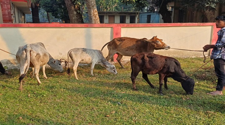 ছবি: প্রতিনিধি