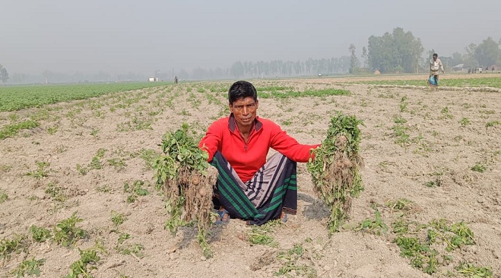 ক্ষতিগ্রস্ত বর্গাচাষী ফসলের মালিক ।  ছবি: প্রতিনিধি