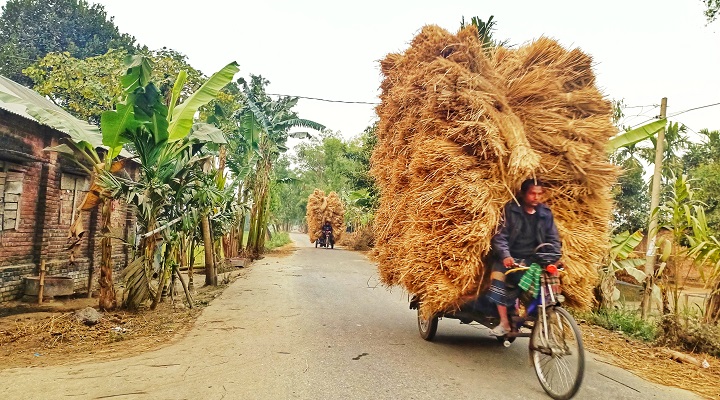 ছবি: প্রতিনিধি