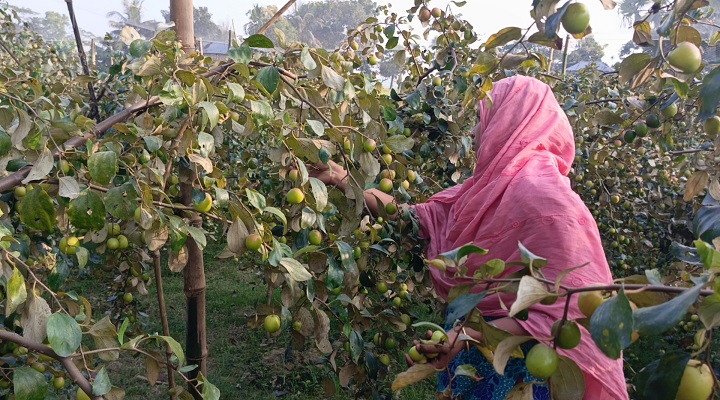 ছবি: প্রতিনিধি