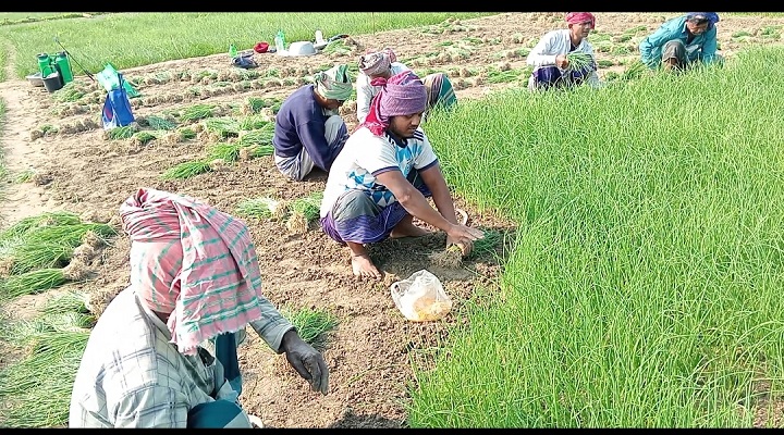 ছবি: প্রতিনিধি