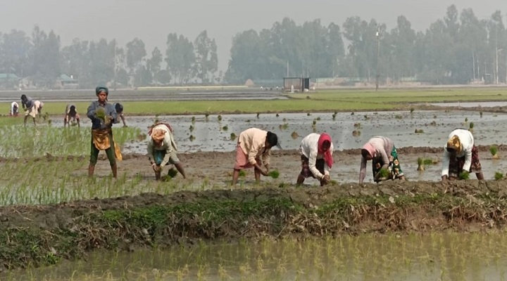 ছবি: প্রতিনিধি