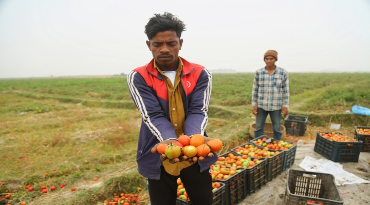 ছবি: প্রতিনিধি