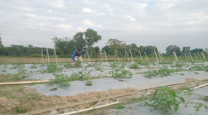 ছবিটি উপজেলা সদর আড়পাড়া গ্রামের চুকিনগর গ্রাম থেকে তোলা।