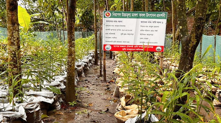 ছবিটি আড়পাড়া ইউনিয়নের দরিশলাই গ্রাম থেকে তোলা । ছবি: প্রতিনিধি