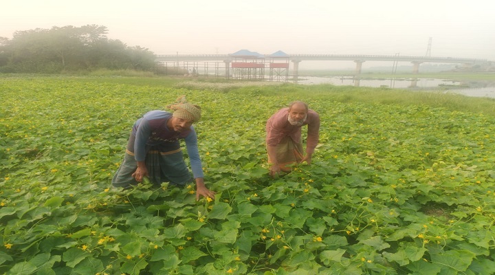 ছবি: প্রতিনিধি