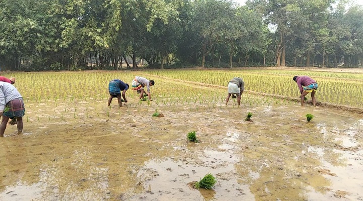 ছবি : প্রতিনিধি