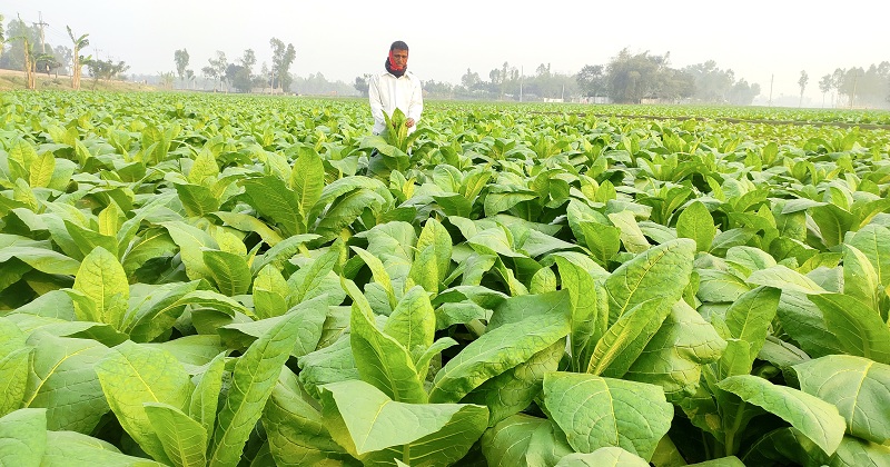 ছবি: প্রতিনিধি 