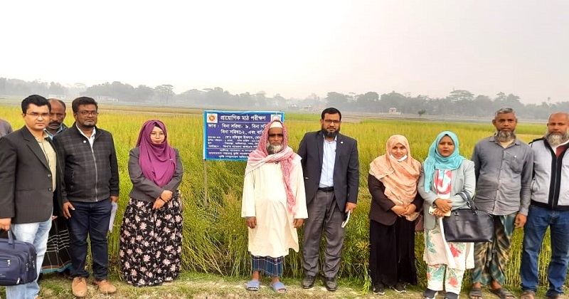 মাঠ দিবসে কৃষকদের নিয়ে সরিষা ক্ষেত পরিদর্শন। ছবি: প্রতিনিধি