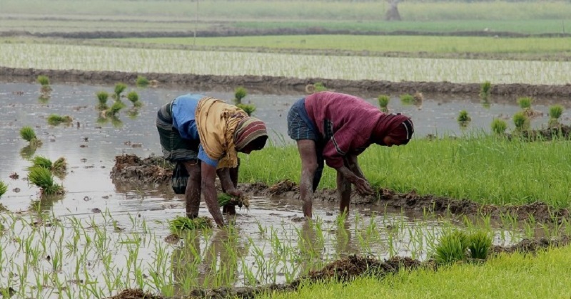 ছবি : প্রতিনিধি