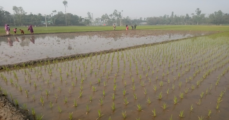 ছবি: খোলা কাগজ