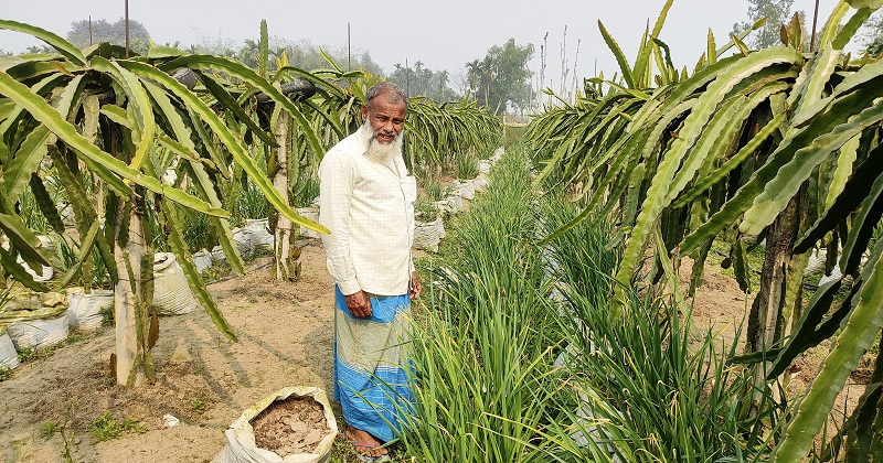 কৃষক আব্দুল্লাহ