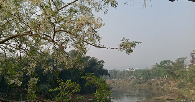 বসন্তের আগম‌নে পাহাড় ফি‌রে পায় হারানো যৌবন 