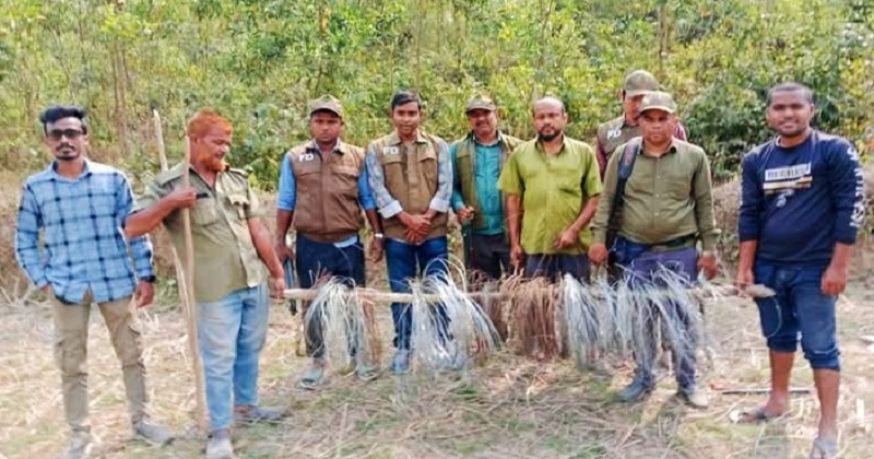 ছবি: প্রতিনিধি