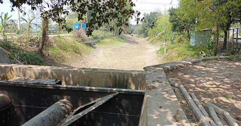 বোরো চাষে পানির মহা সংকটে কুষ্টিয়ার লক্ষাধিক কৃষক