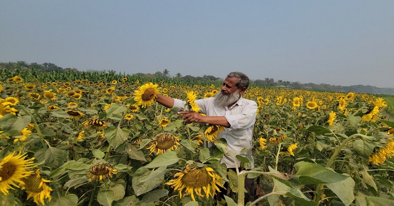 ছবি : প্রতিনিধি