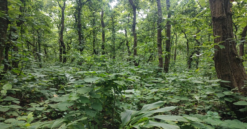 ছবি: খোলা কাগজ