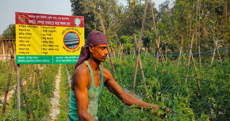 ছবি: খোলা কাগজ