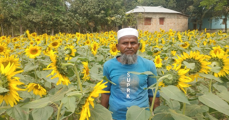 ছবি : খোলা কাগজ