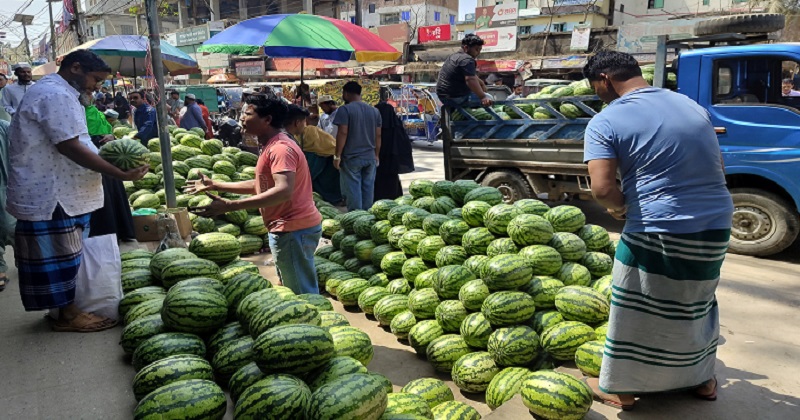 মুরাদনগর উপজেলা সদর বাজারে মৌসুমী ফল ব্যবসায়ীরা তরমুজের পসরা সাজিয়ে বসেছেন।  