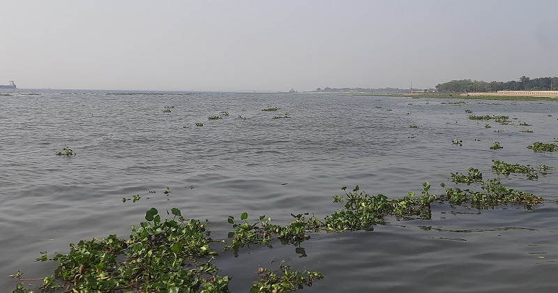 গজারিয়ায় নিখোঁজের দুইদিন পর নৌযান শ্রমিকের লাশ উদ্ধার