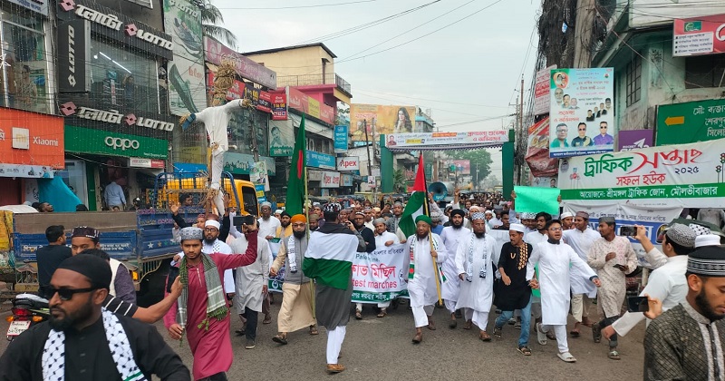 গাজায় গণহত্যার প্রতিবাদে শ্রীমঙ্গলে বিক্ষোভ মিছিল। ছবি: প্রতিনিধি