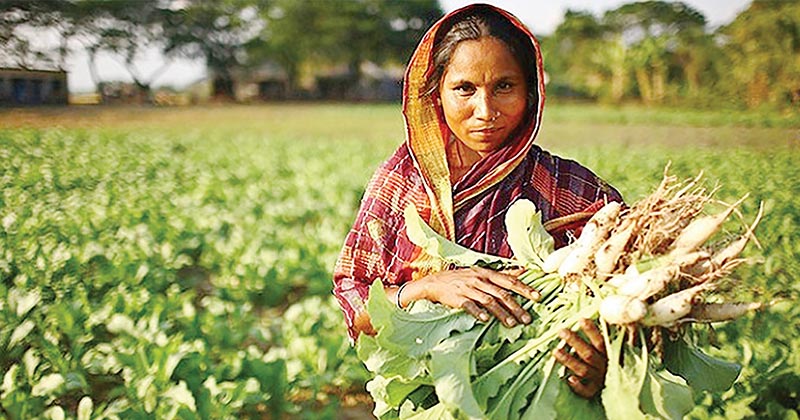 ছবি : খোলা কাগজ
