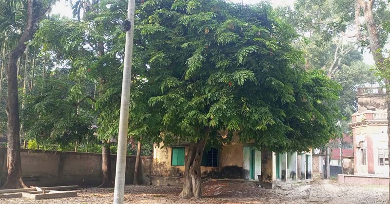 ছবি: প্রতিনিধি