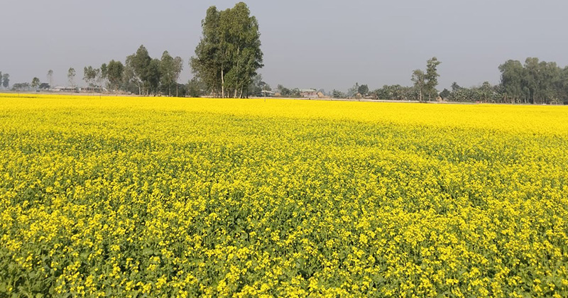 ছবি: প্রতিনিধি