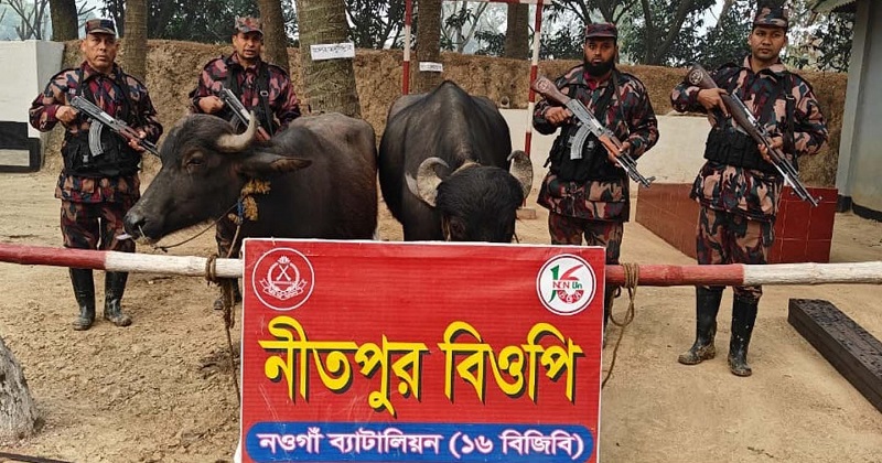ছবি: প্রতিনিধি