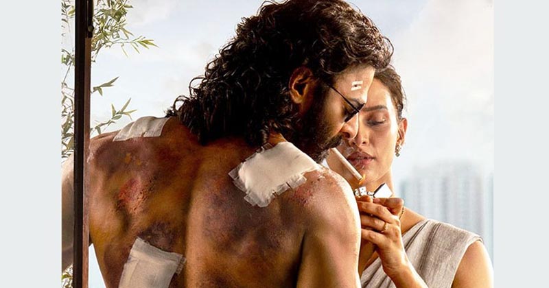 সংগৃহীত ছবি
