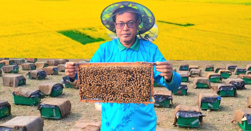 ছবি: প্রতিনিধি