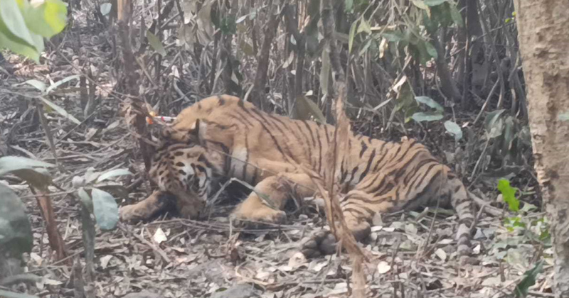 ছবি: প্রতিনিধি