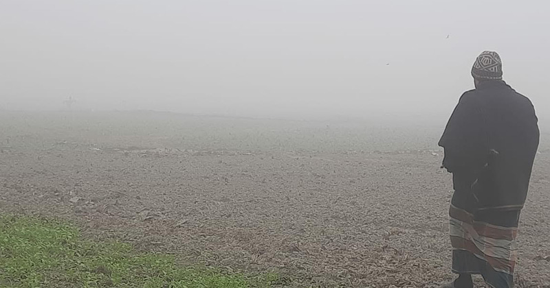 ছবি: প্রতিনিধি