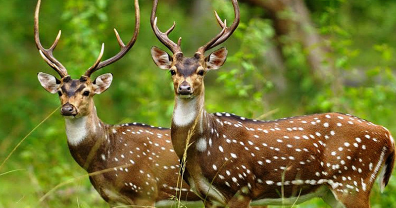প্রতীকী ছবি
