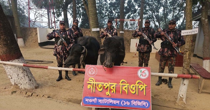 ছবি: প্রতিনিধি
