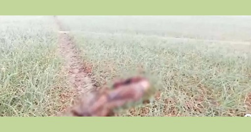 সংগৃহীত ছবি