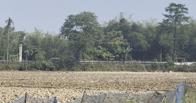 ছবি: প্রতিনিধি