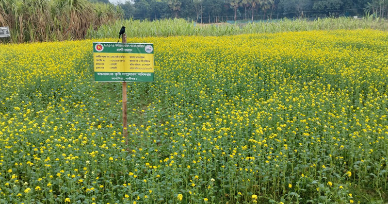 ছবি: প্রতিনিধি